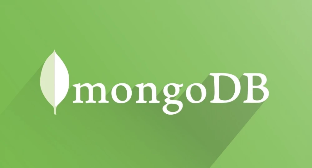 Installing Mongo DB instance on Docker for Windows using a JSON file